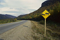 Moose (Alces alces americana) crossing sign along highway, Newfoundland, Canada