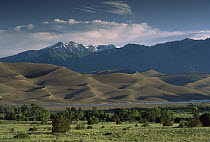 750 foot tall sand dunes rise against the Sangre de Cristo Mountains, Great Sand Dunes National Monument, Colorado