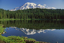 Mount Rainier and Reflection Lake, Mount Rainier National Park, Washington