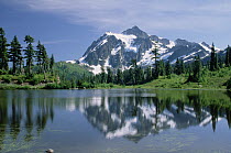 Mt Shuksan, northern Cascade Mountains, Washington