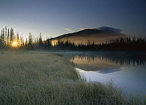 Pond reflecting Nisling Range, Yukon Territory, Canada