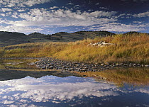 Absaroka Range and Slough Creek, Yellowstone National Park, Wyoming
