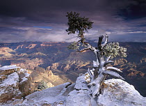 South Rim of Grand Canyon with a dusting of snow seen from Yaki Point, Grand Canyon National Park, Arizona