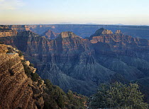 Grand Canyon viewed from North Rim, Grand Canyon National Park, Arizona