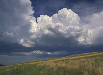 Grassland and cumulus clouds, Wind Cave National Park, South Dakota
