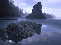 Ruby Beach with seastack and boulder, Olympic National Park, Washington