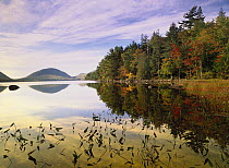 Eagle Lake, Mount Desert Island, Acadia National Park, Maine
