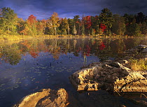 Lang Lake, fall colors, Ontario, Canada