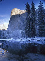 El Capitan and Merced River in winter, Yosemite National Park, California