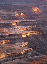 View from Grandview Point, Canyonlands National Park, Utah
