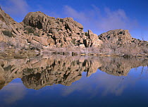 Boulders reflected in lake, Joshua Tree National Park, California