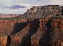 Grand Canyon seen from Toroweep Overlook, Grand Canyon National Park, Arizona