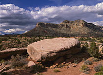 Boulder in desert, North Rim, Grand Canyon National Park, Arizona