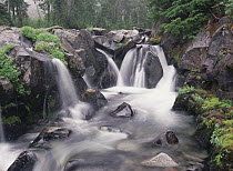 Paradise River cascade, Mt Rainier National Park, Washington