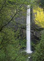 Latourell Falls, Columbia River Gorge near Portland, Oregon