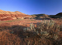Painted hills, John Day Fossil Beds National Monument, Oregon