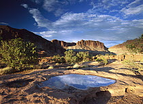 Water pothole at Panorama Point, Capitol Reef National Park, Utah