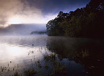 Fog over Lake Catherine, Lake Catherine State Park, Arkansas