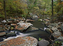 Cedar Creek flowing through deciduous forest, Petit Jean State Park, Arkansas