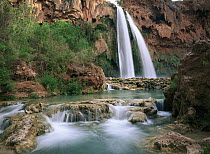 Havasu Creek which is lined with Cottonwood trees, being fed by one of its three cascades, Havasu Falls, Grand Canyon, Arizona