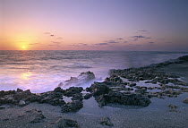 Blowing Rocks Preserve at sunset, Jupiter Island, eastern Florida