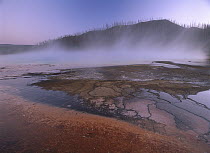 Steam rising off Grand Prismatic Pool in Midway Geyser Basin, Yellowstone National Park, Wyoming