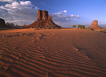 The east and west Mittens surrounded by rippled sand, Monument Valley Navajo Tribal Park, Arizona