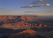 Dead Horse Point (6,000 feet in elevation) overlooking canyon eroded by the Colorado River, Dead Horse Point State Park, Utah