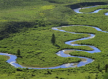East river meandering near Crested Butte, Colorado