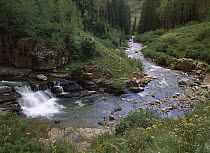 La Plata River, La Plata Canyon, San Juan National Forest, Colorado