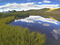 Clouds reflected in water at Cottonwood Pass, Rocky Mountains, Colorado