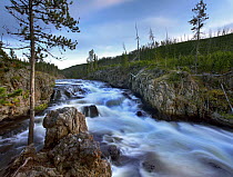 Firehole river, Yellowstone National Park, Wyoming