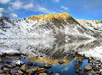 Geissler Mountain reflected in Linkins Lake, Colorado