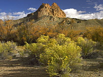 Mitten Rock, New Mexico
