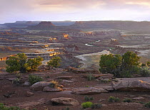View from the Green River Overlook, Canyonlands National Park, Utah