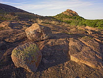 Granite formations, Enchanted Rocks State Park, Texas