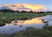 Clouds and sunset reflected in stream, Hellroaring Plateau, Montana