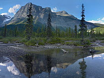 Michael Peak reflection, Emerald Lake, Yoho National Park, British Columbia, Canada