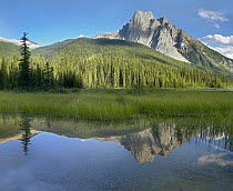 Mt Burgess reflected in Emerald Lake, Yoho National Park, British Columbia, Canada