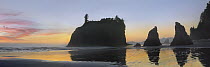 Panorama of Abby Island and seastacks silhouetted at sunset, Ruby Beach, Olympic National Park, Washington