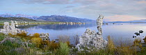 Panorama of tufa towers at Mono Lake with the eastern Sierra Nevada in the background, California