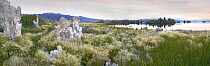 Panorama of tufa towers at Mono Lake with the eastern Sierra Nevada in the background, California
