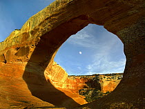 Wilson Arch with a span of 91 feet and height of 46 feet, off of highway 191, made of entrada sandstone, Utah