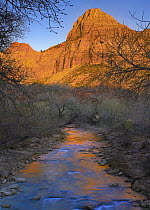 Bridge Mountain and the north fork of the Virgin River, Zion National Park, Utah