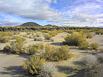 Cinder cones at Mojave National Preserve, California