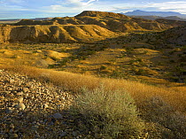 Virgin Mountains from Lake Mead National Recreation Area, Nevada