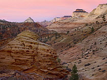 East and West Temples showing sedimentary rocks including white Navajo sandstone, Zion National Park, Utah