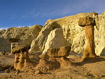 Toadstool Caprocks, Grand Staircase-Escalante National Monument, Utah