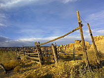 Abandoned wooden corral, Kaiparowits Plateau, Grand Staircase-Escalante National Monument, Utah