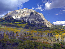 Fall colors at Gunnison National Forest, Colorado